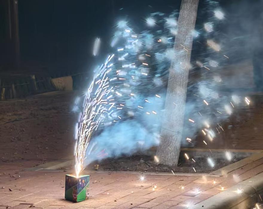 Wenhui Zhang (张文辉)