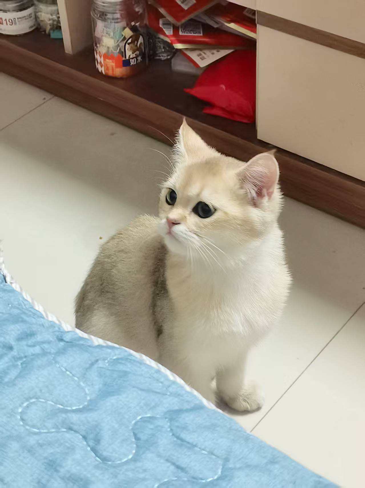 Yu Chen (陈昱) 的头像