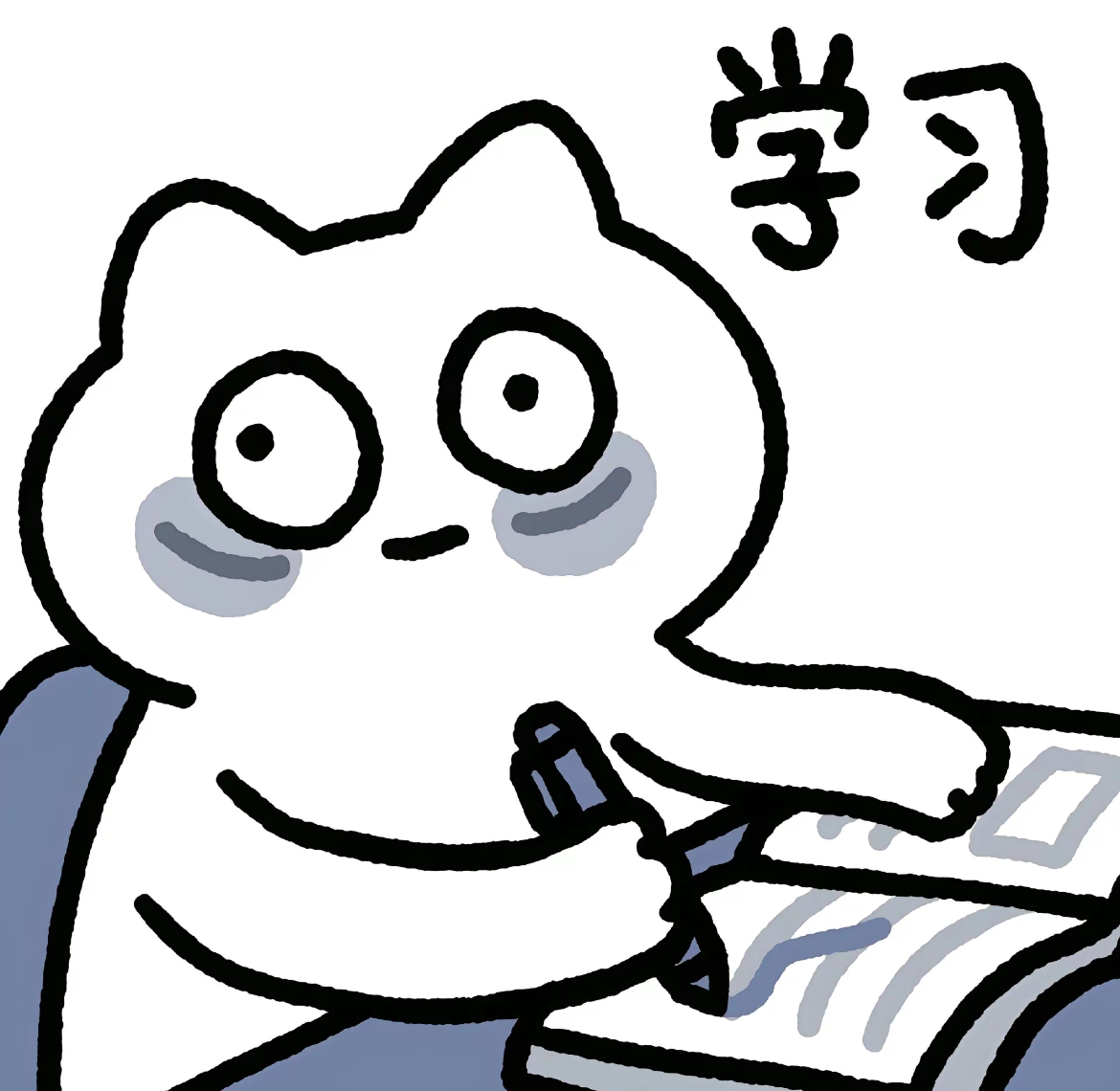 Chenshuo Wang (王晨硕)