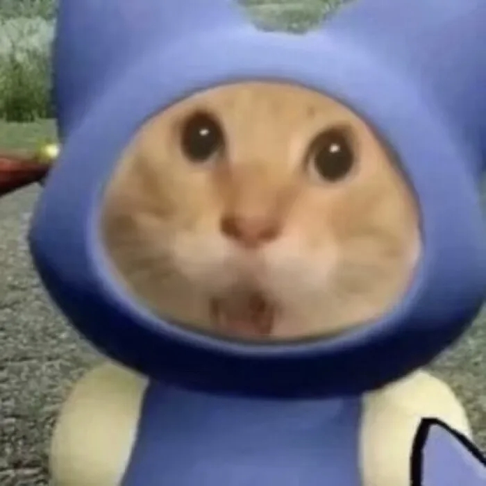 Zhanshun Zhi (支展顺)