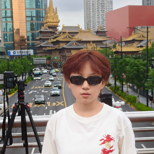 Haining Wang (王海宁)