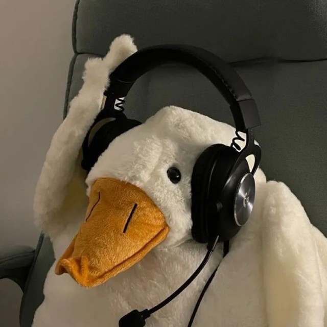 Yiheng Yan (闫毅恒)