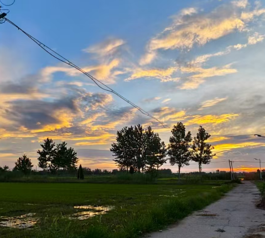 Junxi Zhao (赵峻熙)