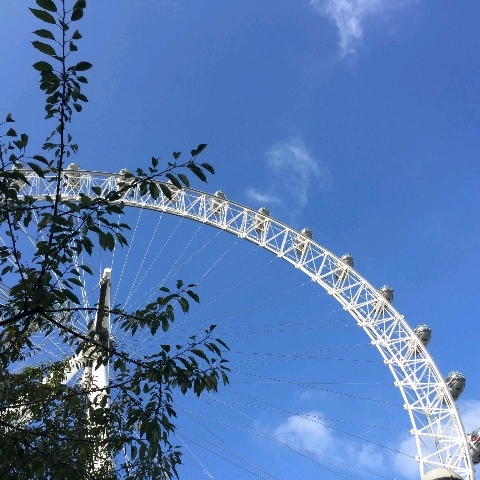 Qiaosen Zhang (张乔森)