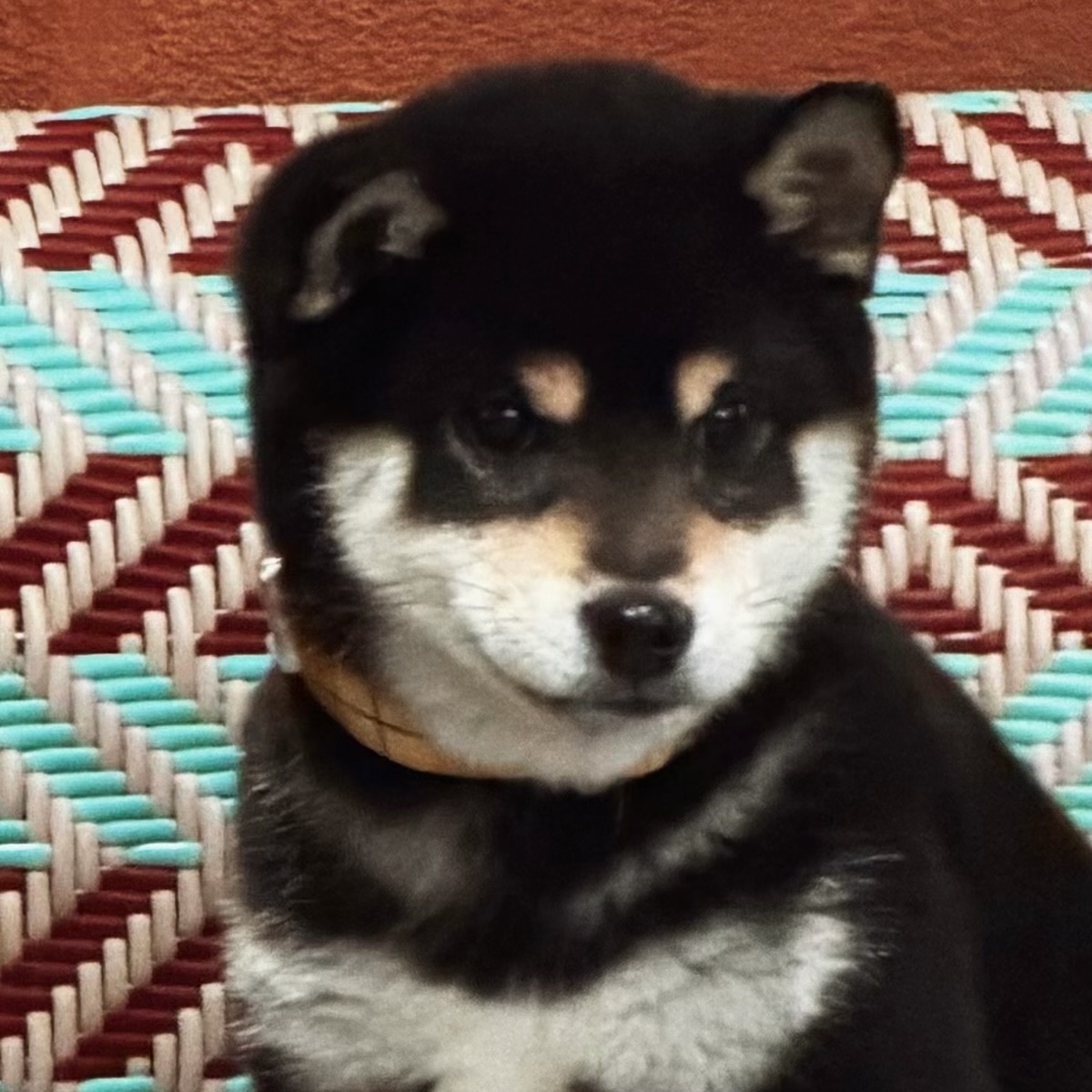 Yakai Zhu (朱亚凯)