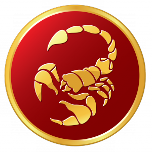 Ruichen Wan (万瑞晨)