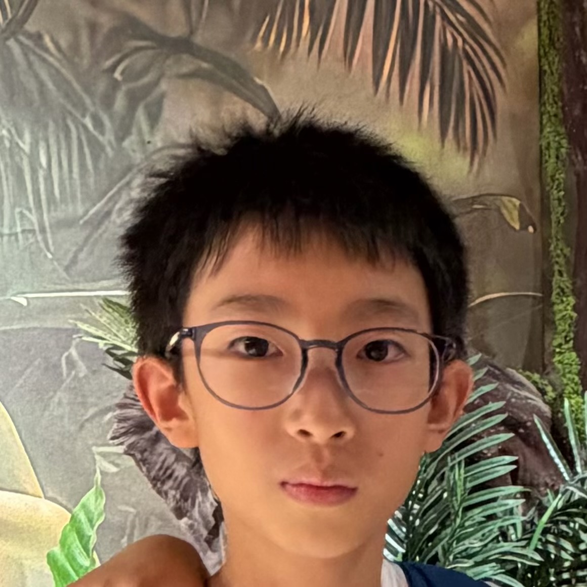 Jiecheng Lu (卢家铖) 的头像