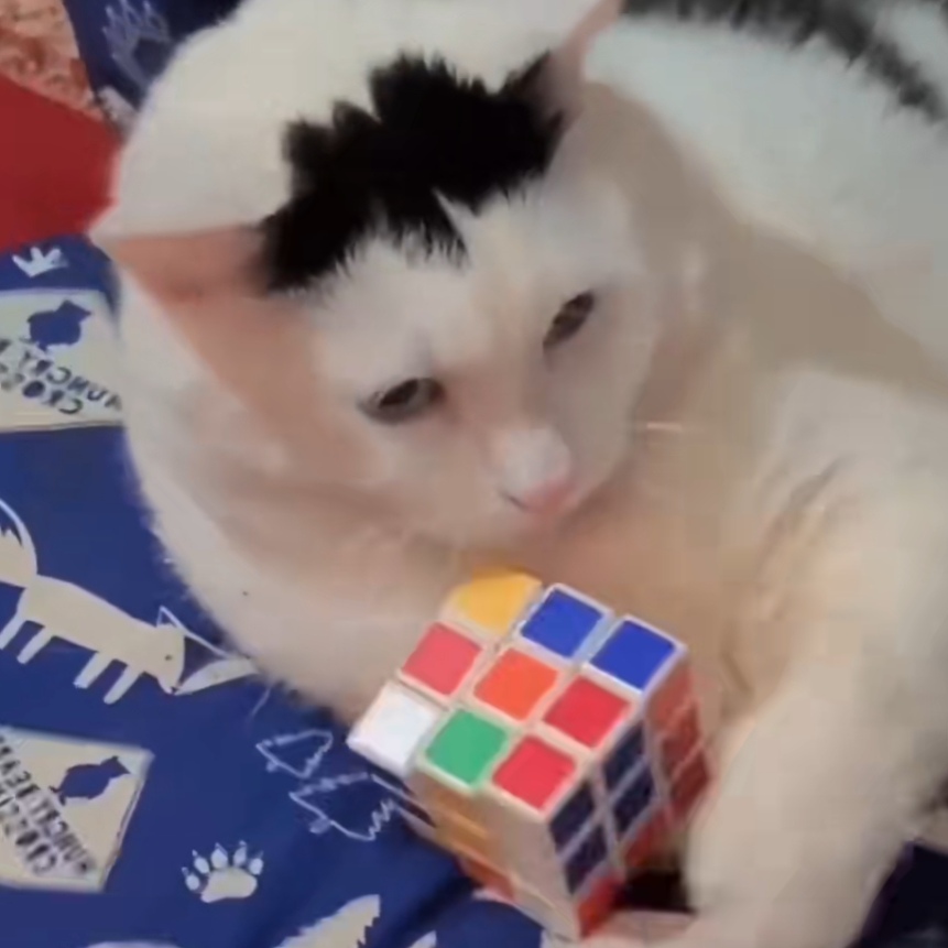 Zhaotong Qiu (仇兆通)