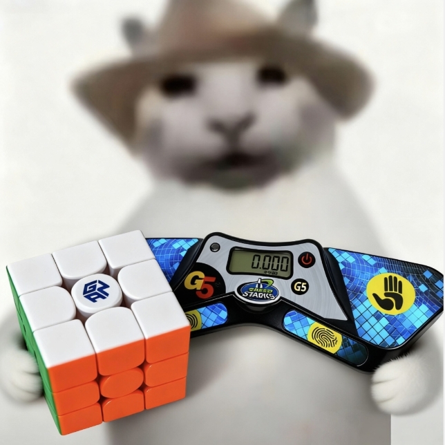 Jinjie Zhuang (庄金杰)