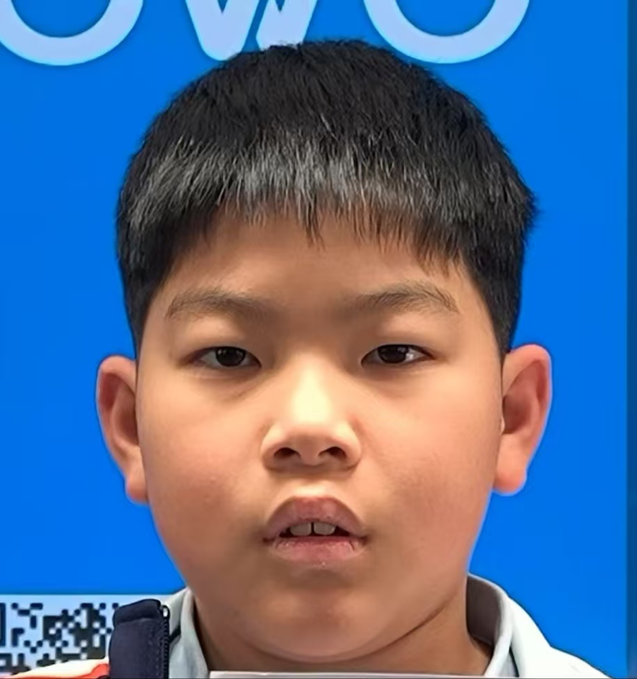 Yiyan He (何一言)