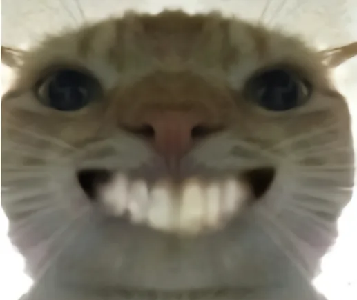 Yuetong Wang (汪悦童)