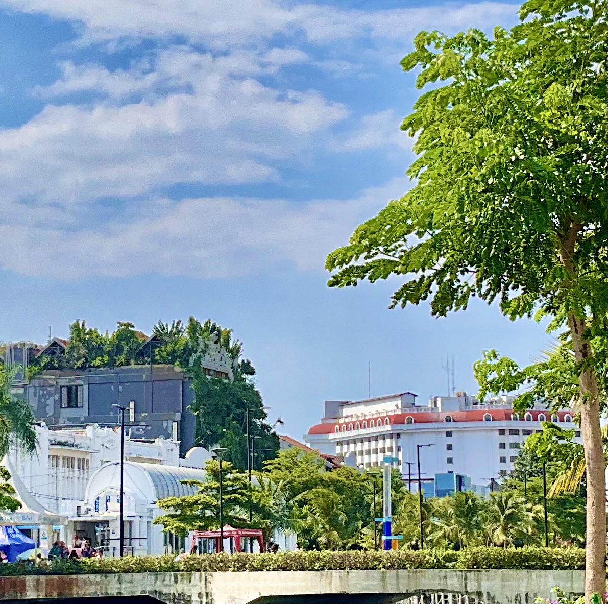 Yanrui Xie (谢延睿)