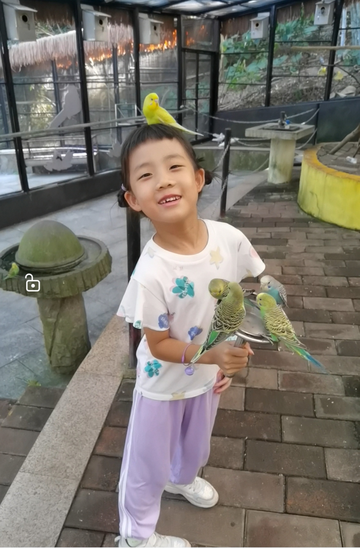 Xingwei Lin (林星微) 的头像