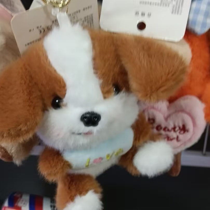 Yanbo Kong (孔彦博)