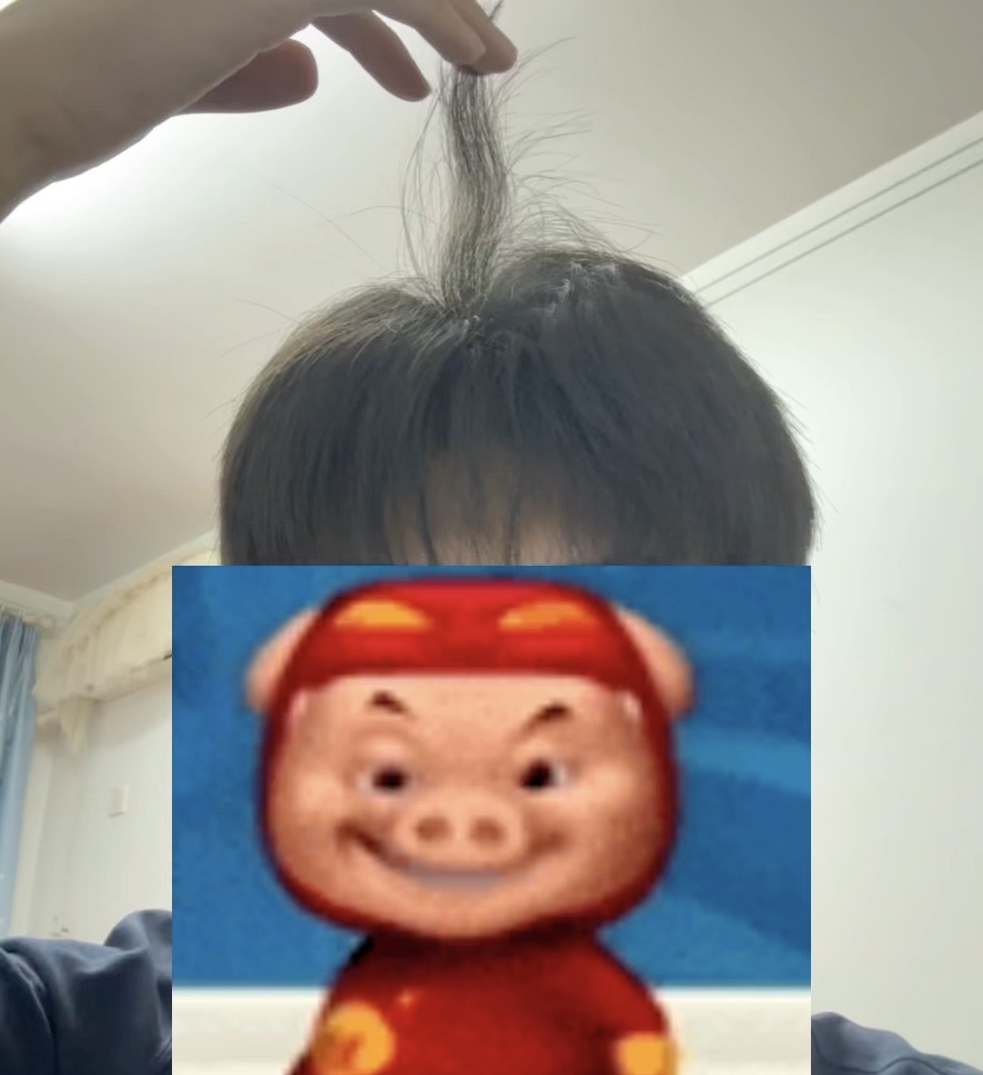 Xiaolun Hou (侯骁伦)