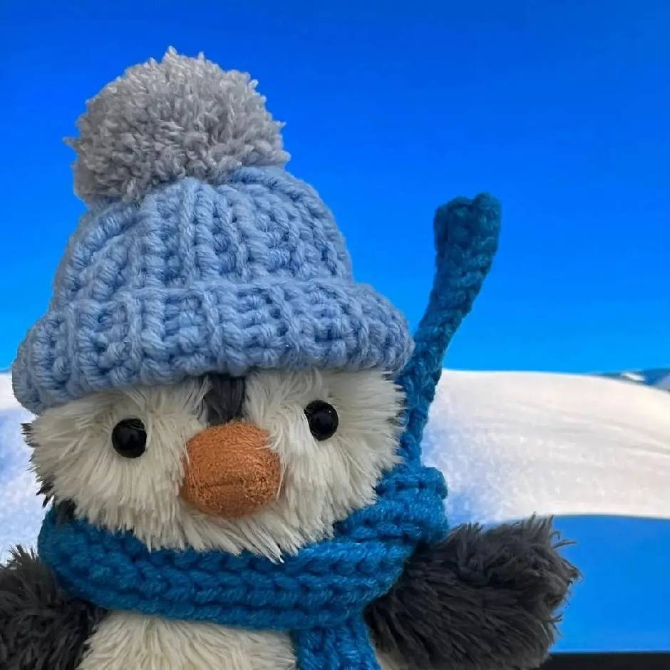 Haoxing Yang (杨浩星)