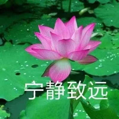 Zhengyu Luo (罗正宇)